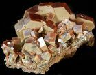 Vanadinite Cluster (Extra Large Crystals) - Morocco #42182-1